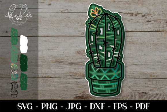 3D Cactus Mandala Review